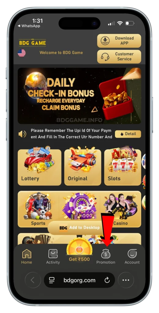 BDG-PROMOTION